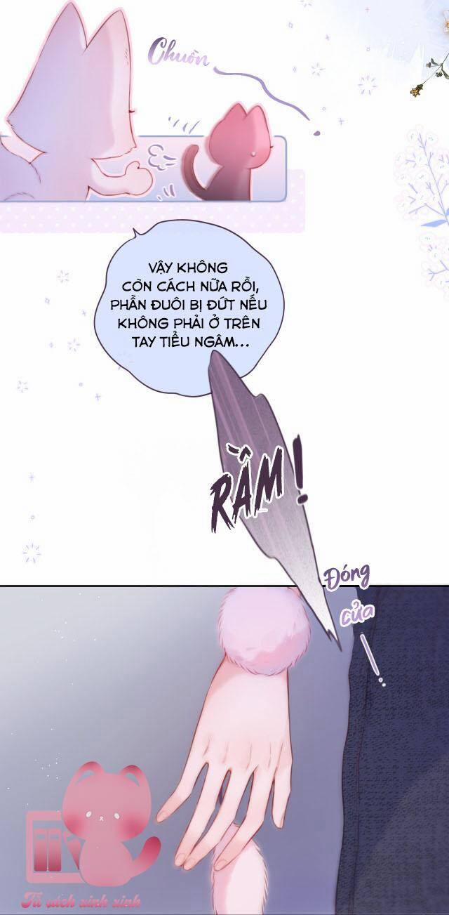 Cạm Bẫy Của Hồ Ly 37 trang 20