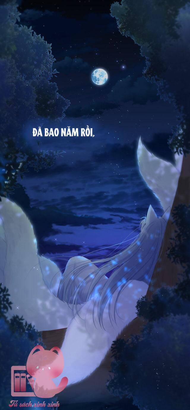 Cạm Bẫy Của Hồ Ly 37 trang 30