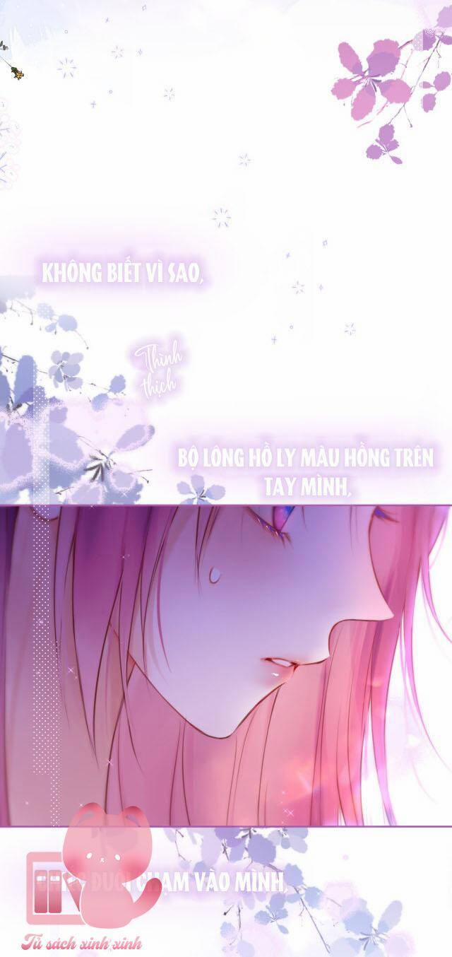 Cạm Bẫy Của Hồ Ly 37 trang 5