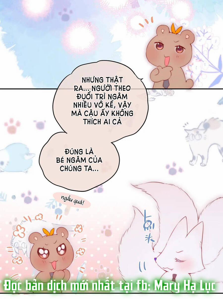 Cạm Bẫy Của Hồ Ly 38.2 trang 16