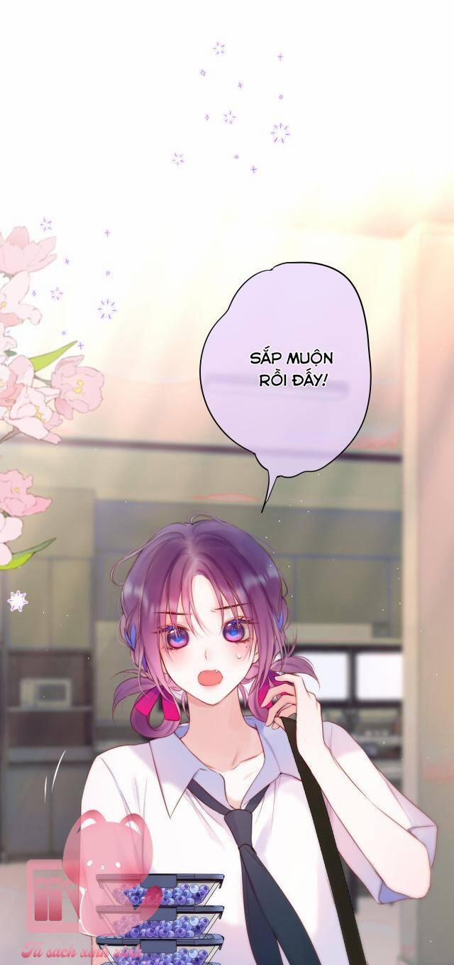 Cạm Bẫy Của Hồ Ly 38 trang 0