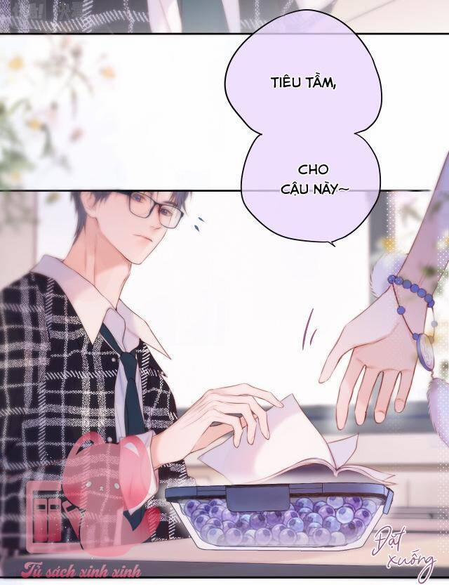 Cạm Bẫy Của Hồ Ly 38 trang 14