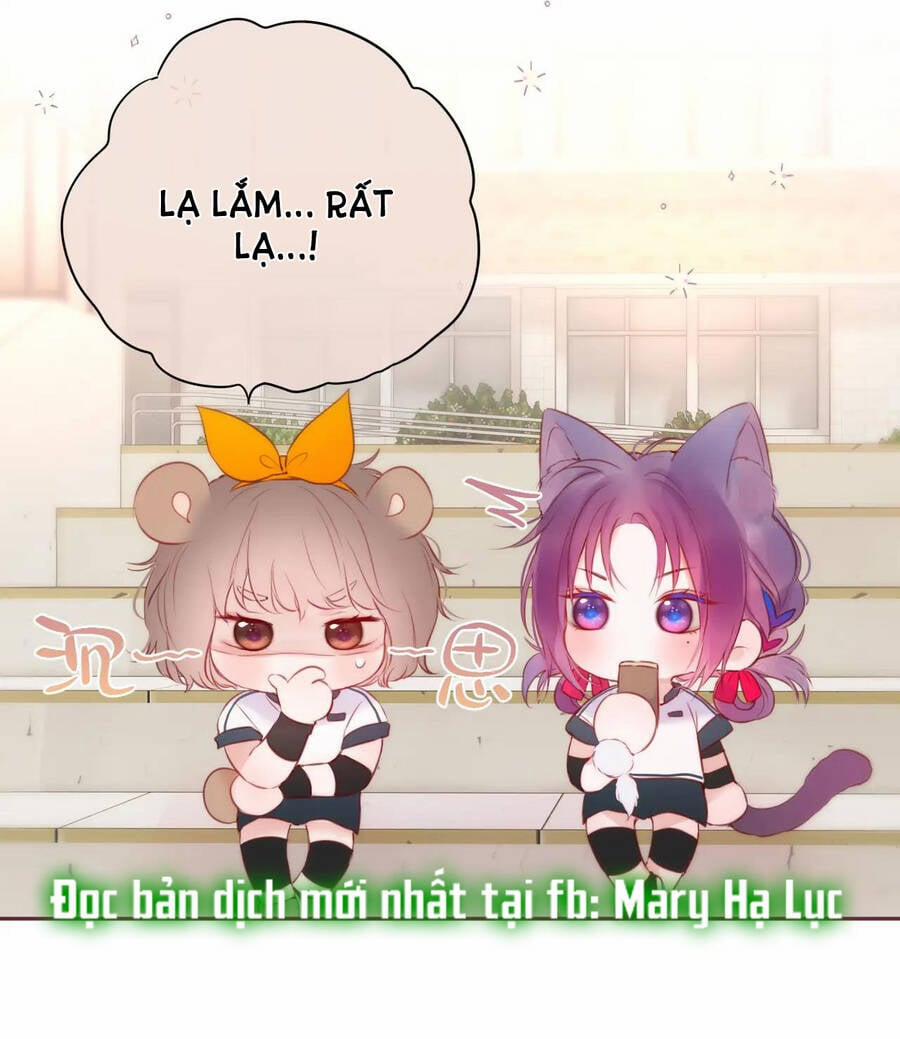 Cạm Bẫy Của Hồ Ly 39.2 trang 21