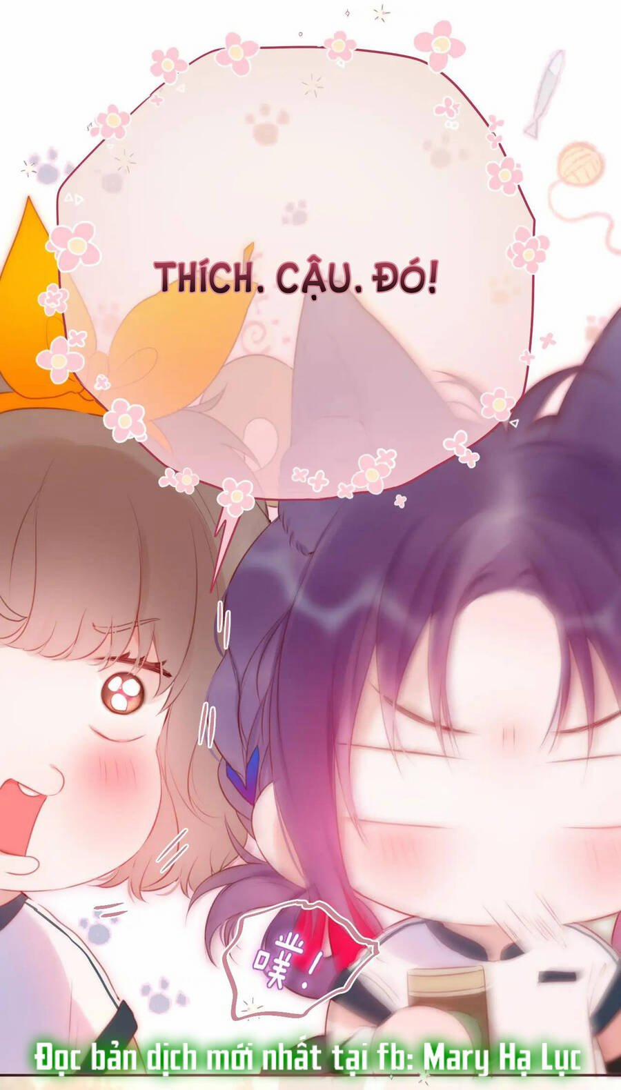 Cạm Bẫy Của Hồ Ly 39.2 trang 25