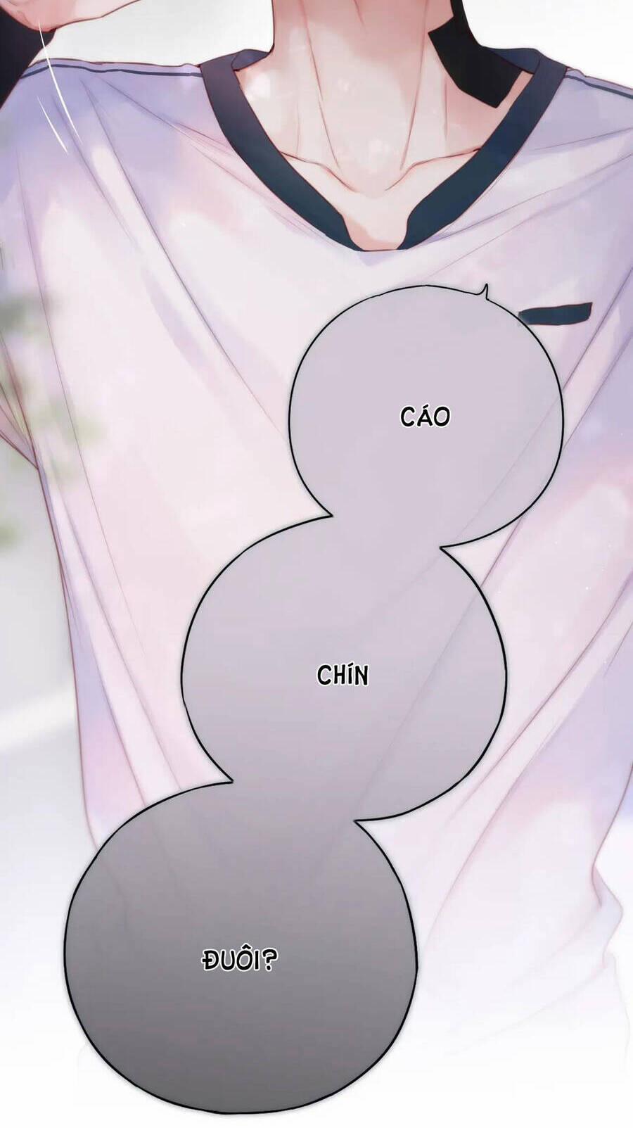 Cạm Bẫy Của Hồ Ly 39.2 trang 36