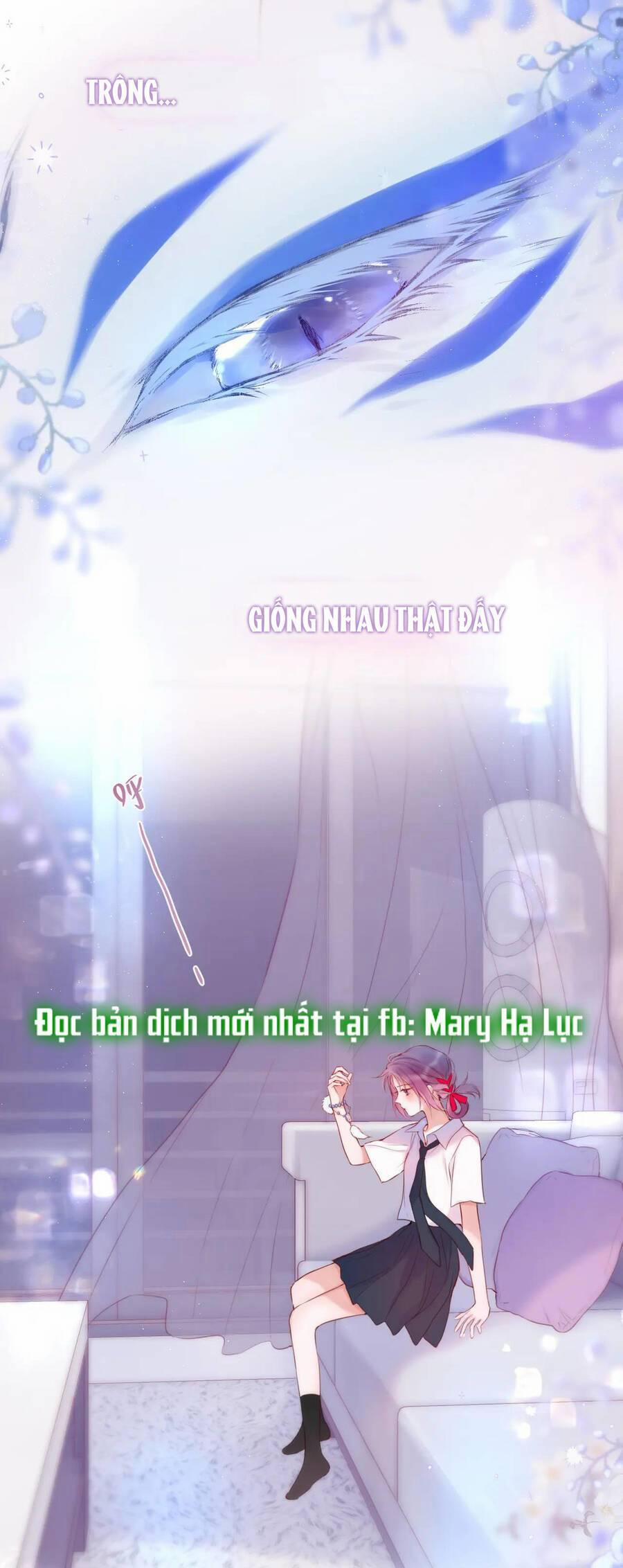 Cạm Bẫy Của Hồ Ly 40.2 trang 1