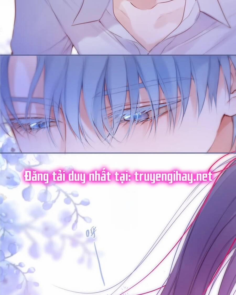 Cạm Bẫy Của Hồ Ly 41.1 trang 15