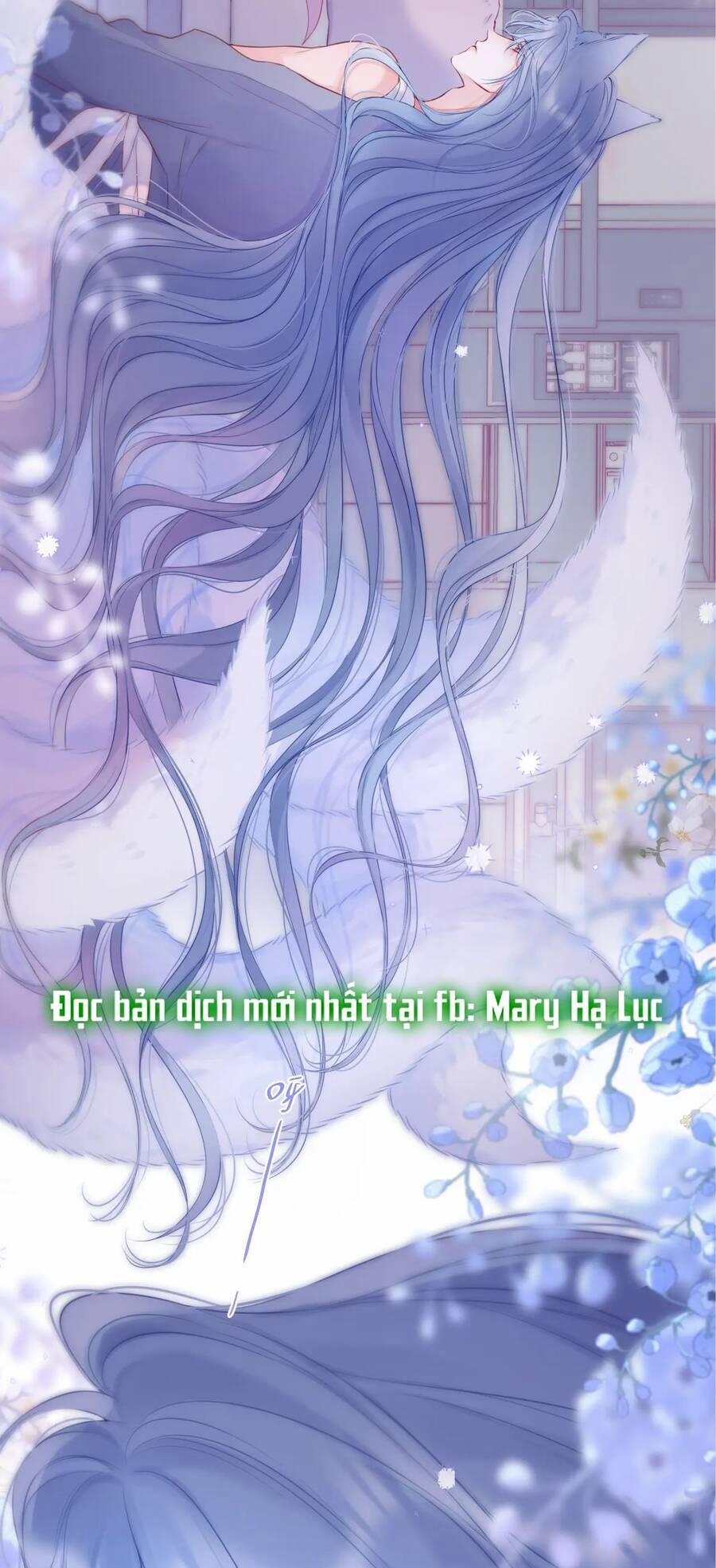 Cạm Bẫy Của Hồ Ly 41.2 trang 1