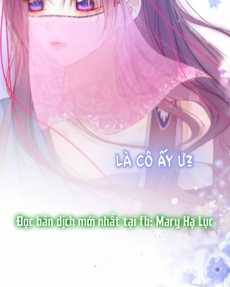 Cạm Bẫy Của Hồ Ly 41.2 trang 12