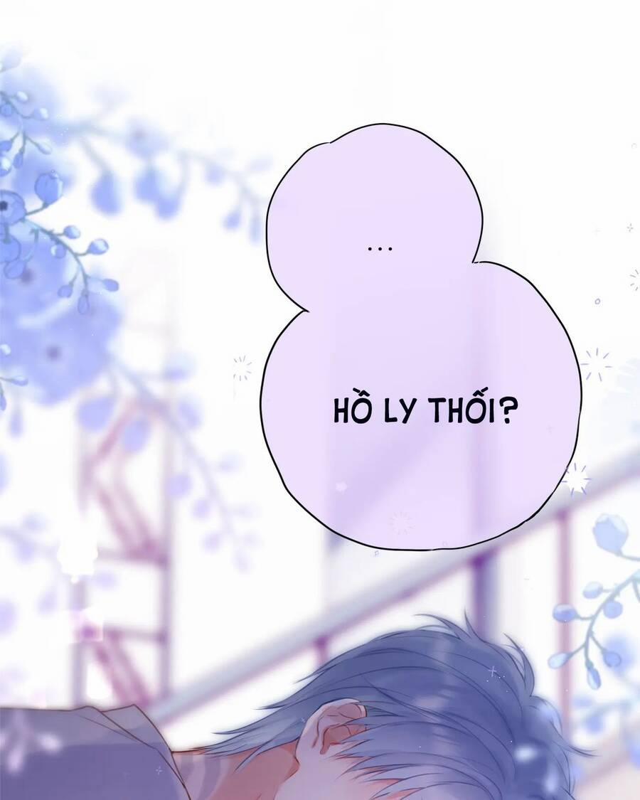 Cạm Bẫy Của Hồ Ly 41.2 trang 15