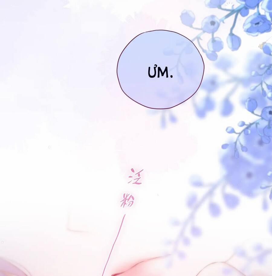 Cạm Bẫy Của Hồ Ly 41.2 trang 22