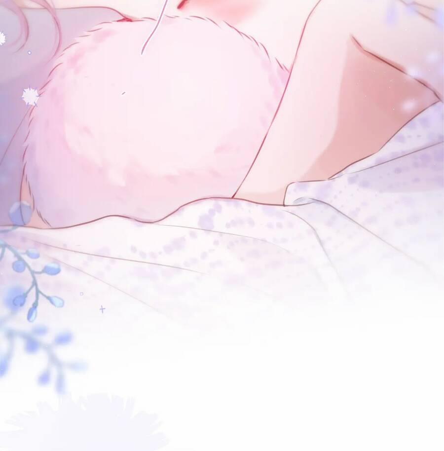 Cạm Bẫy Của Hồ Ly 41.2 trang 23