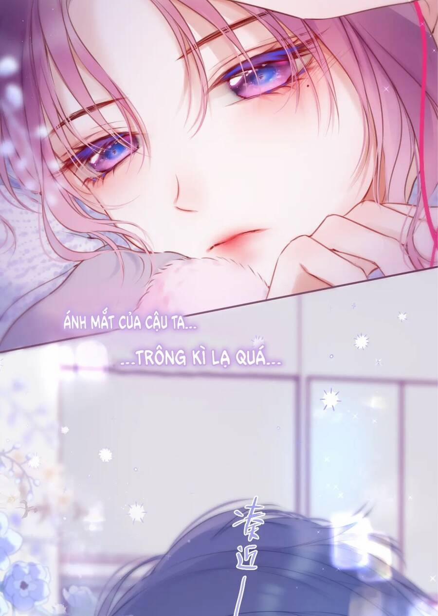 Cạm Bẫy Của Hồ Ly 41.2 trang 27