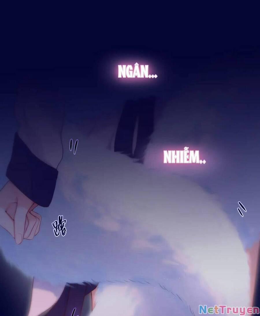 Cạm Bẫy Của Hồ Ly 42.1 trang 24