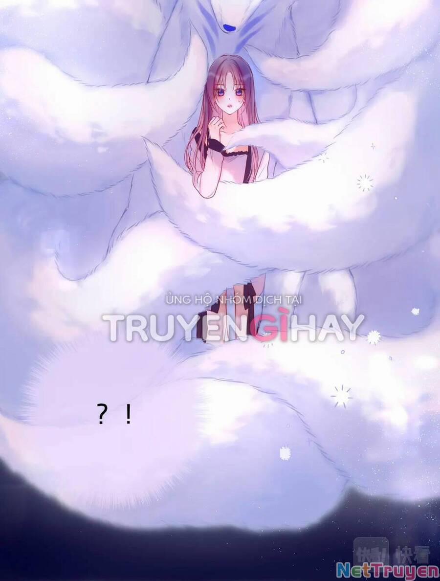 Cạm Bẫy Của Hồ Ly 42.1 trang 27