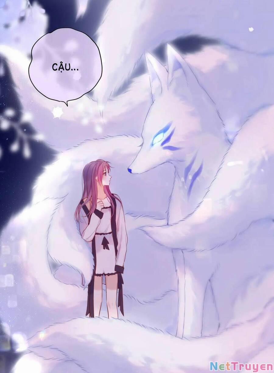 Cạm Bẫy Của Hồ Ly 42.1 trang 30