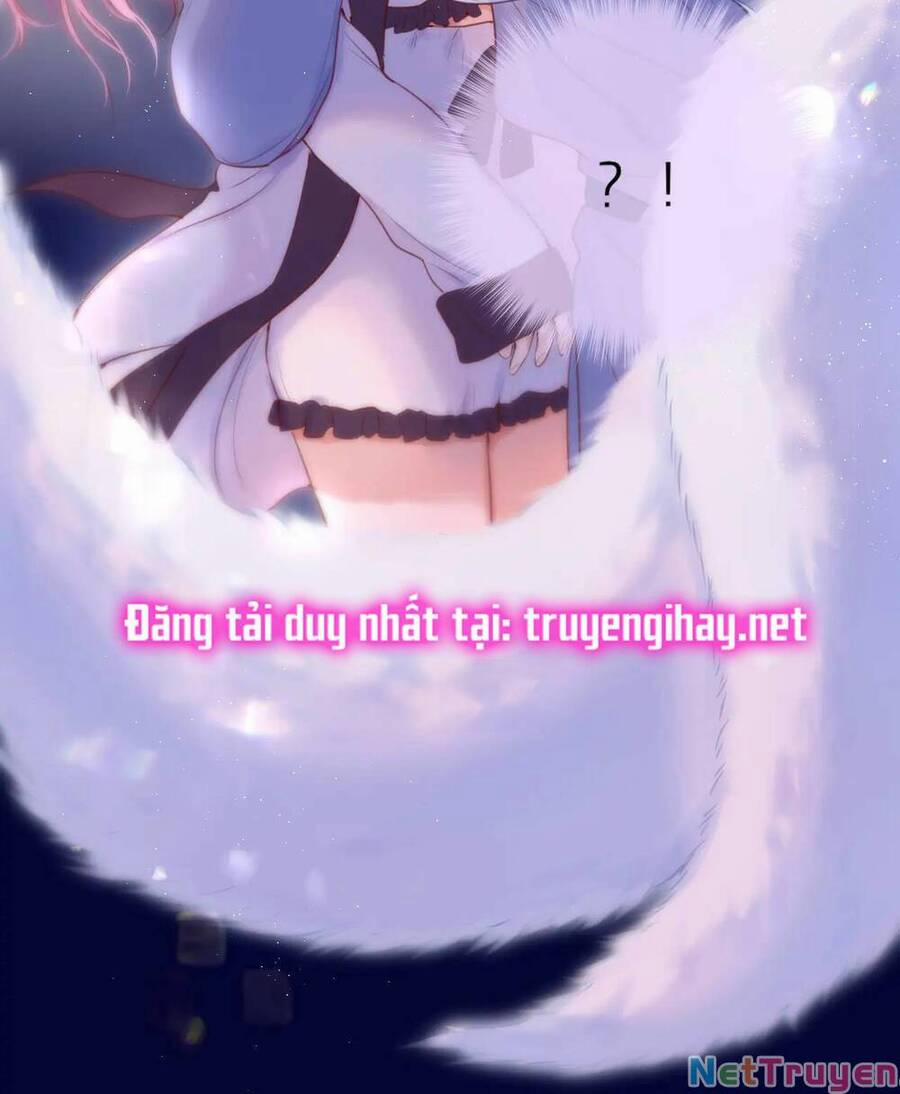 Cạm Bẫy Của Hồ Ly 42.1 trang 33