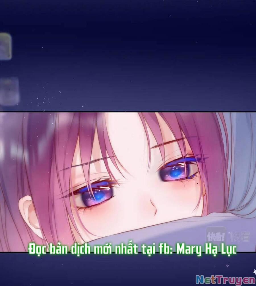 Cạm Bẫy Của Hồ Ly 42.2 trang 1