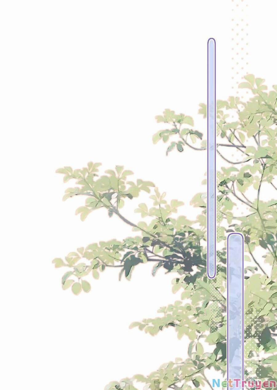 Cạm Bẫy Của Hồ Ly 42.2 trang 14