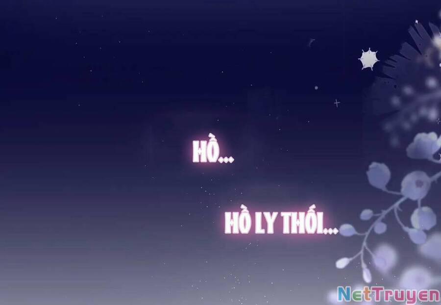 Cạm Bẫy Của Hồ Ly 42.2 trang 2