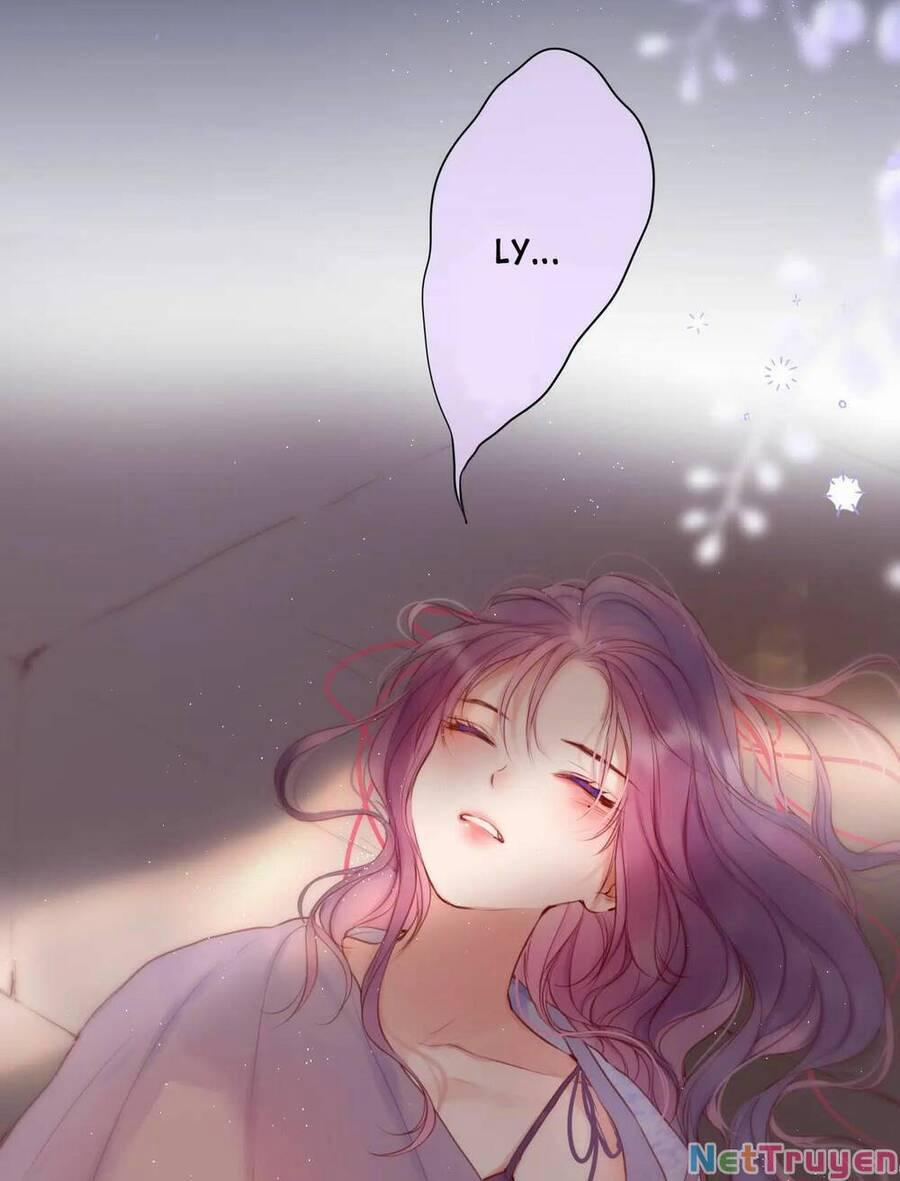 Cạm Bẫy Của Hồ Ly 42.2 trang 3