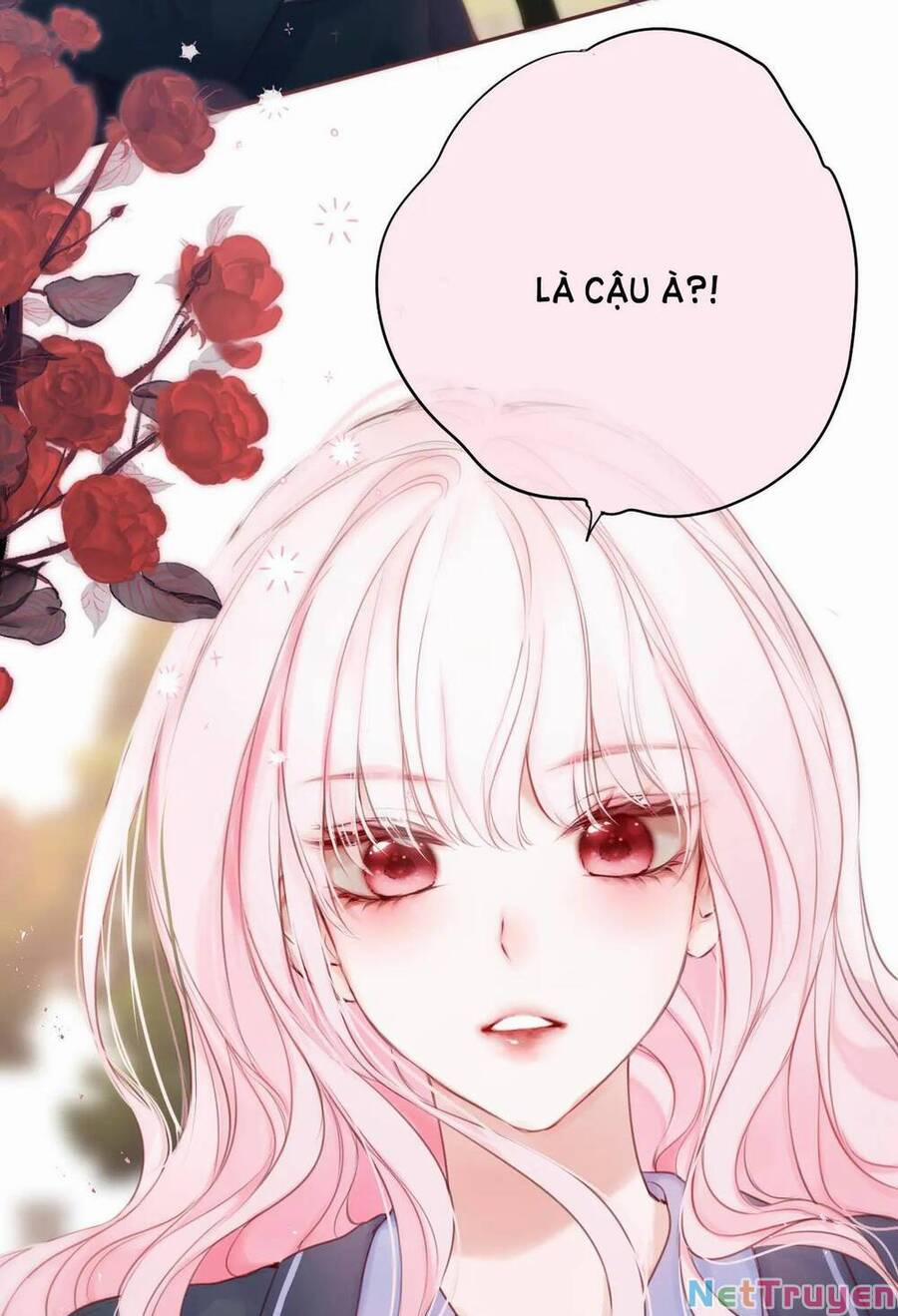 Cạm Bẫy Của Hồ Ly 42.2 trang 31