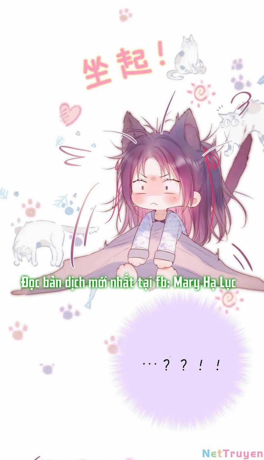 Cạm Bẫy Của Hồ Ly 42.2 trang 6