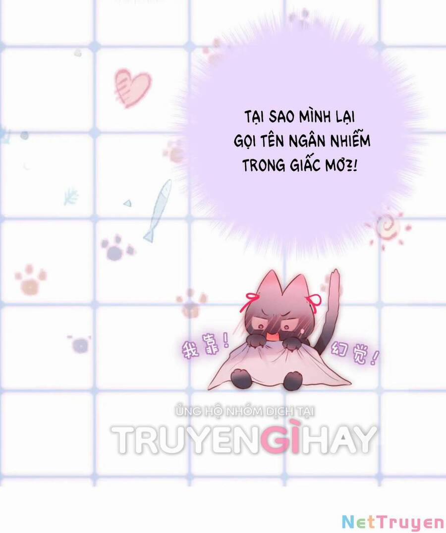 Cạm Bẫy Của Hồ Ly 42.2 trang 8