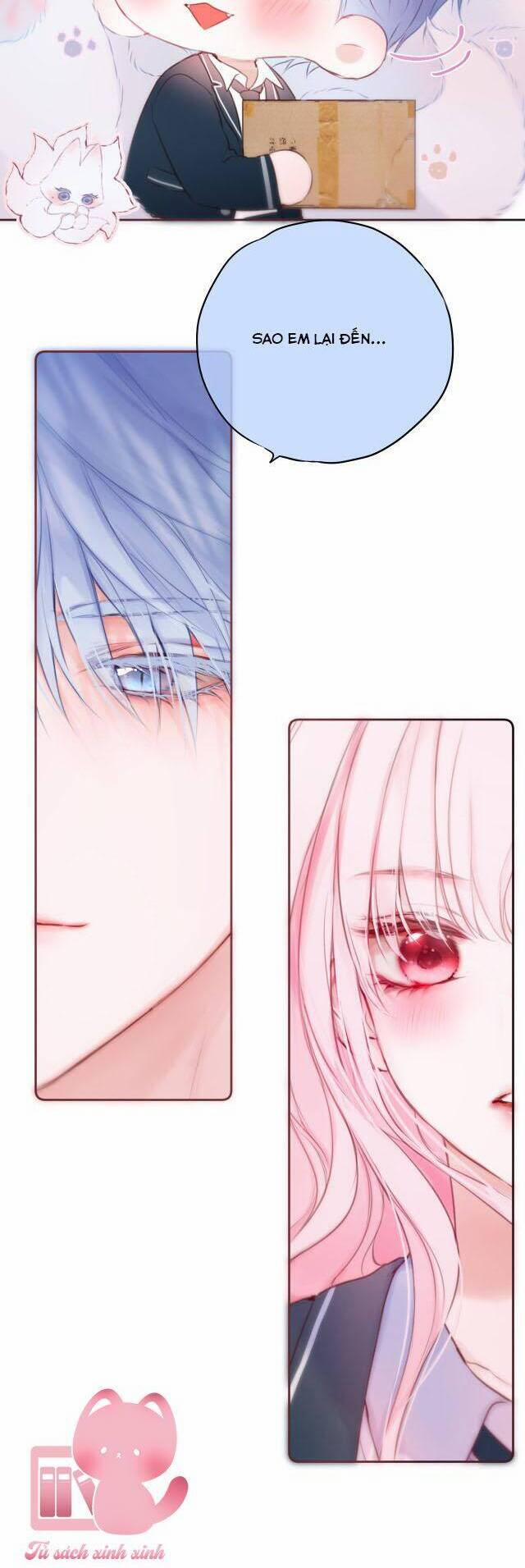 Cạm Bẫy Của Hồ Ly 43 trang 19