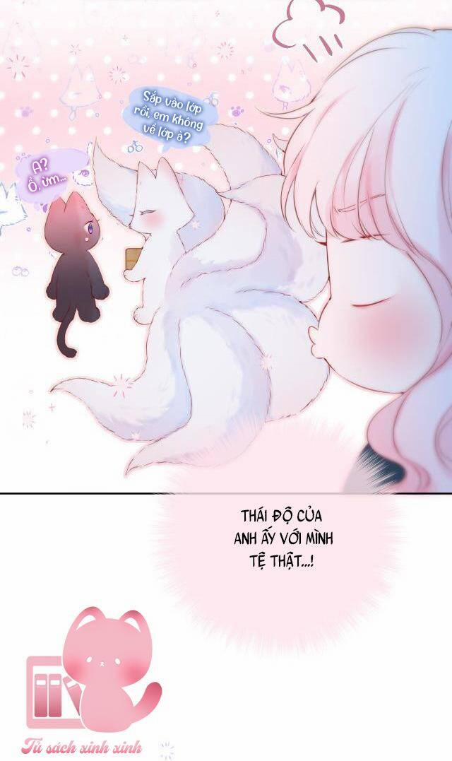 Cạm Bẫy Của Hồ Ly 44 trang 19