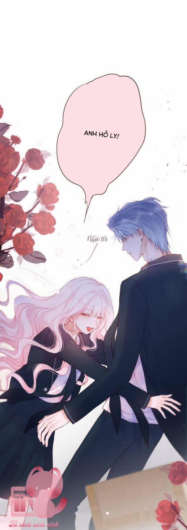 Cạm Bẫy Của Hồ Ly 44 trang 2