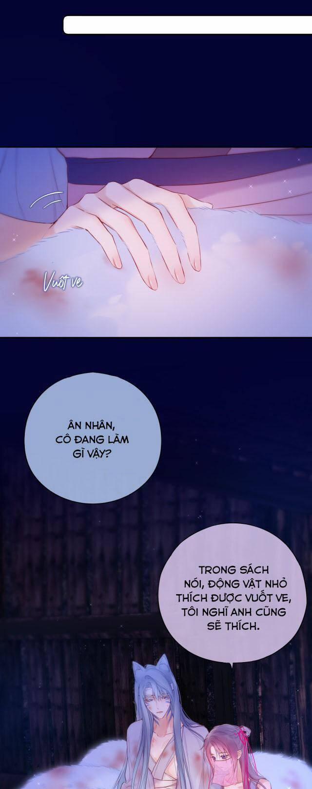 Cạm Bẫy Của Hồ Ly 46 trang 12