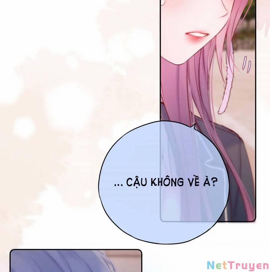 Cạm Bẫy Của Hồ Ly 47 trang 26