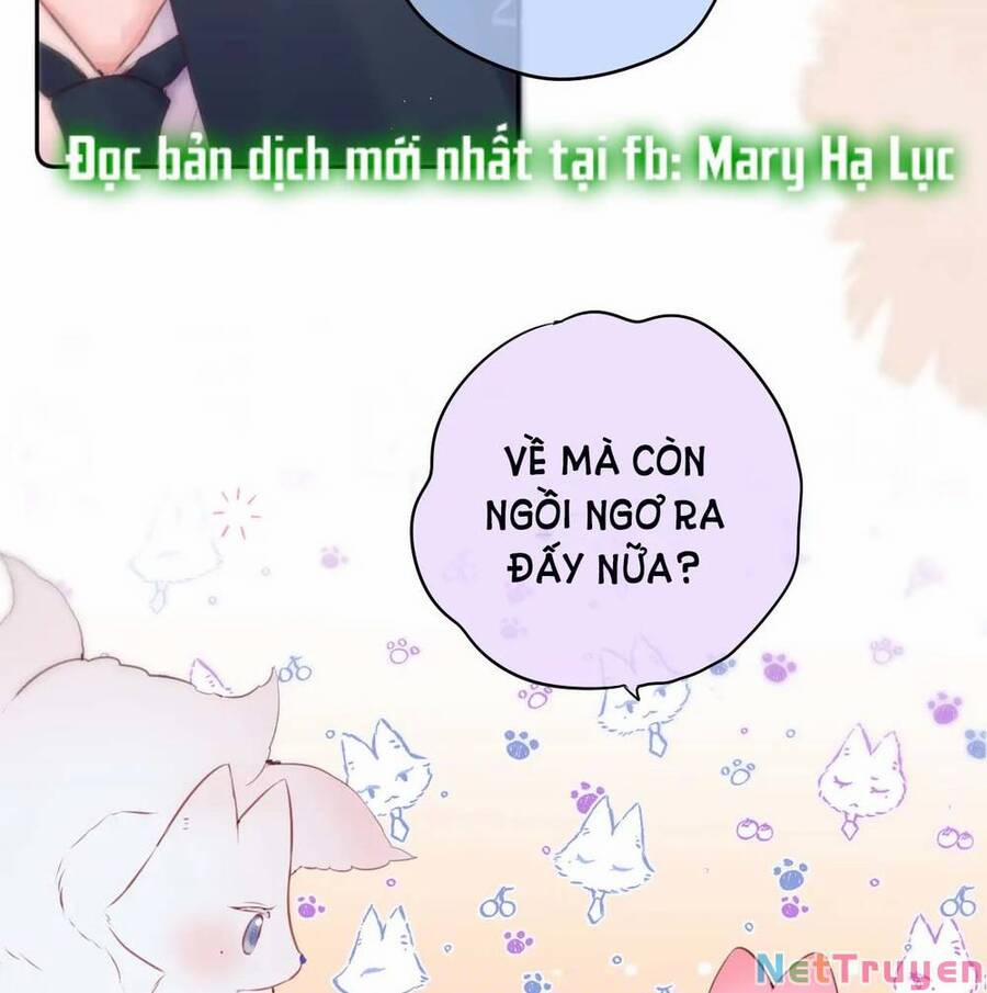 Cạm Bẫy Của Hồ Ly 47 trang 28