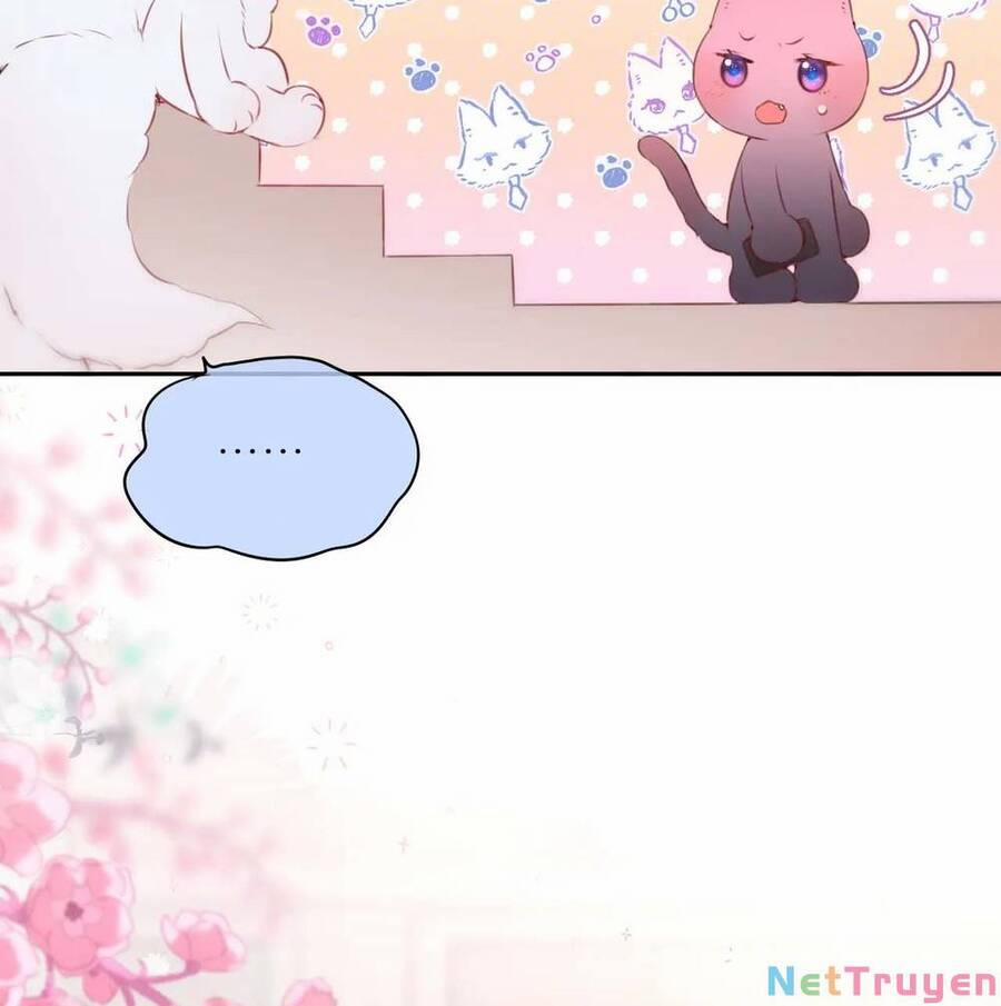 Cạm Bẫy Của Hồ Ly 47 trang 29