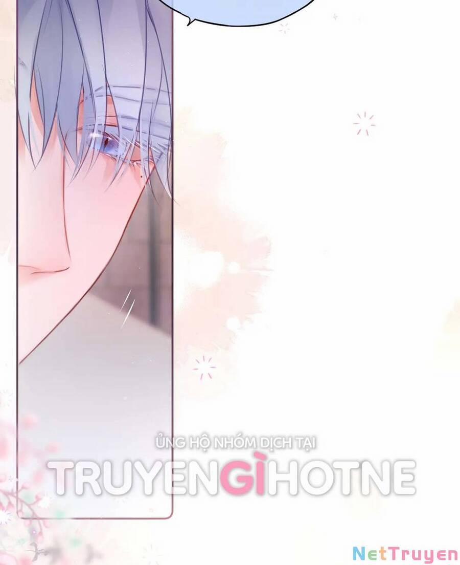 Cạm Bẫy Của Hồ Ly 47 trang 3