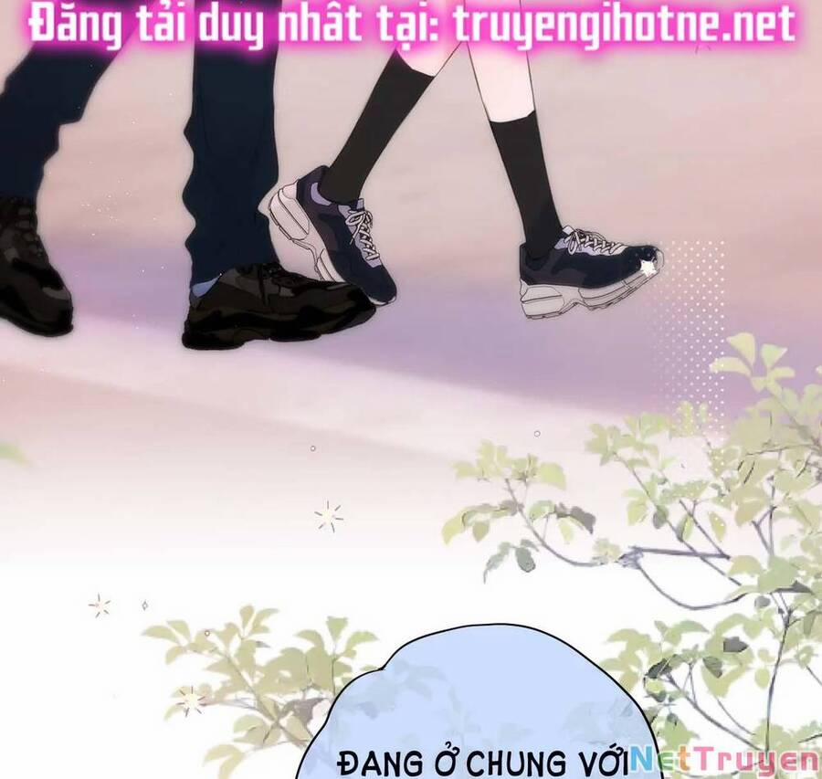 Cạm Bẫy Của Hồ Ly 47 trang 35