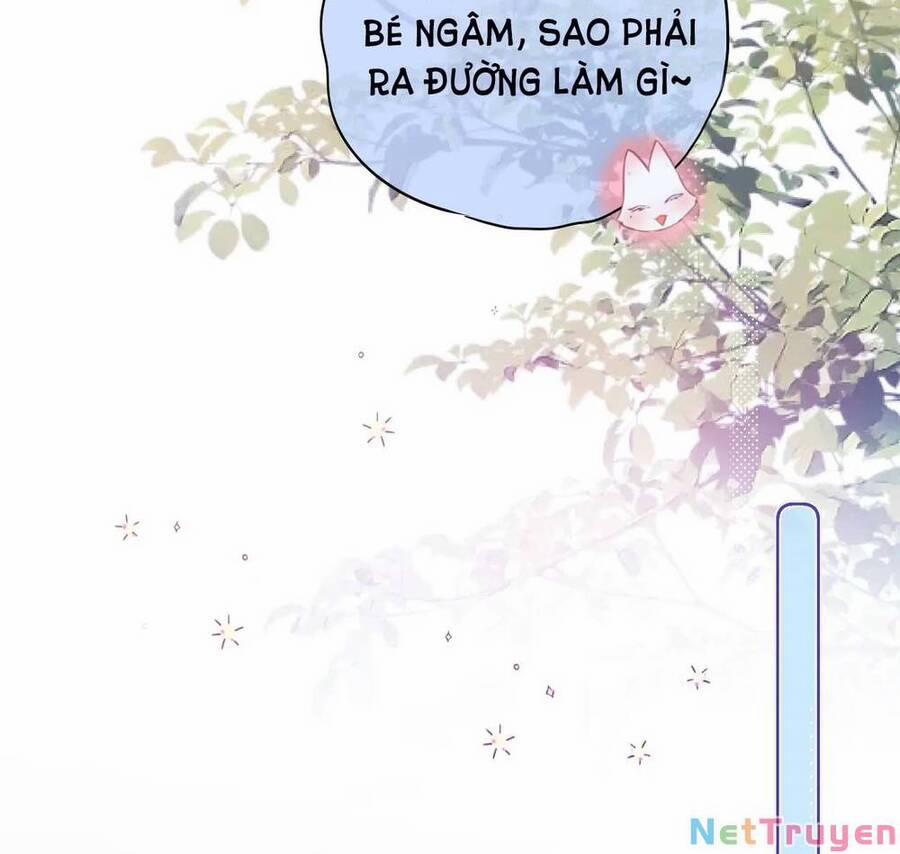 Cạm Bẫy Của Hồ Ly 47 trang 36