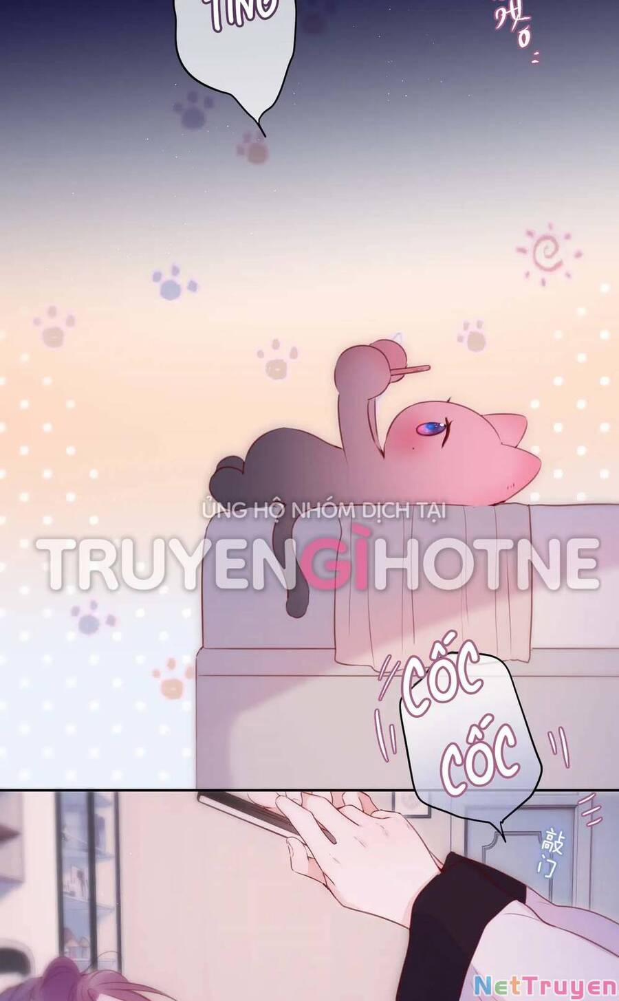 Cạm Bẫy Của Hồ Ly 47 trang 40