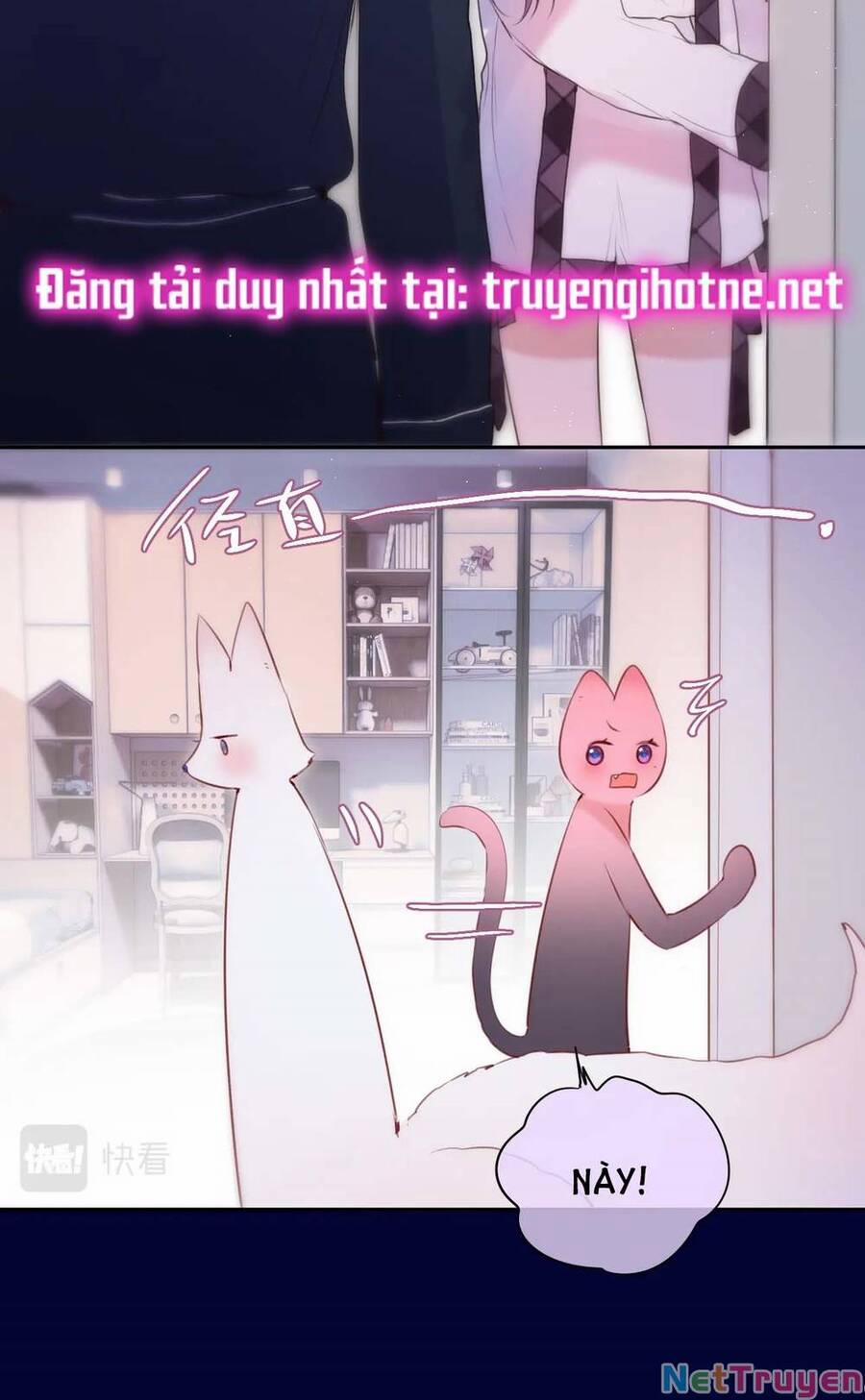 Cạm Bẫy Của Hồ Ly 47 trang 43