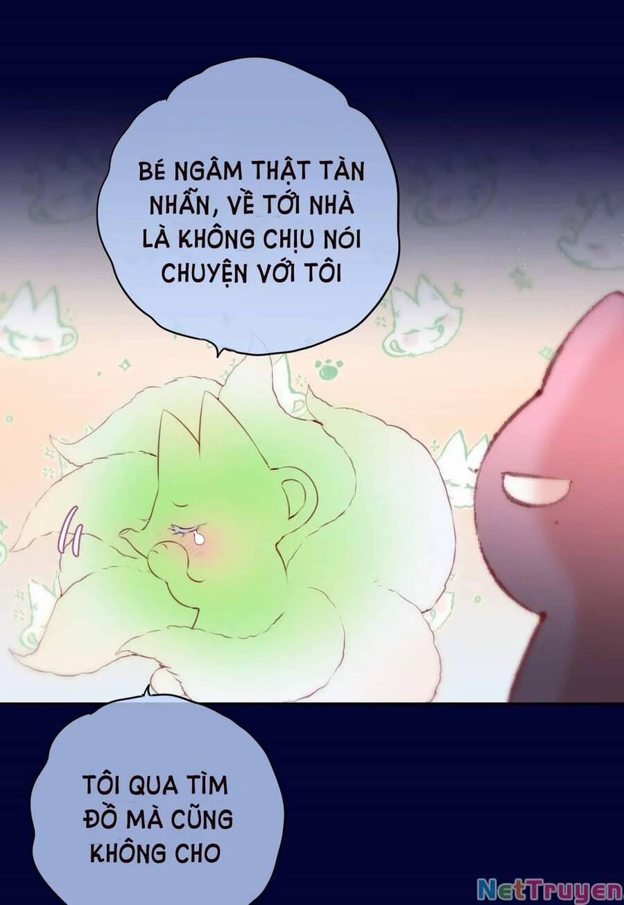 Cạm Bẫy Của Hồ Ly 47 trang 44