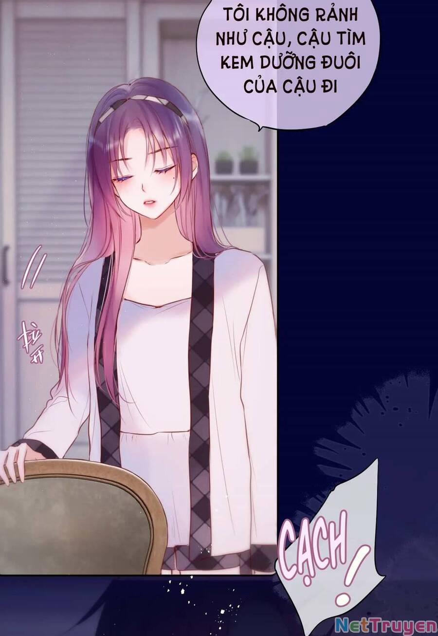 Cạm Bẫy Của Hồ Ly 47 trang 48