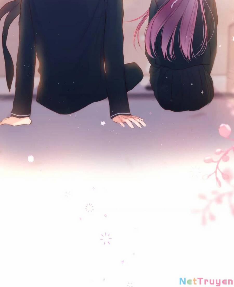 Cạm Bẫy Của Hồ Ly 47 trang 5