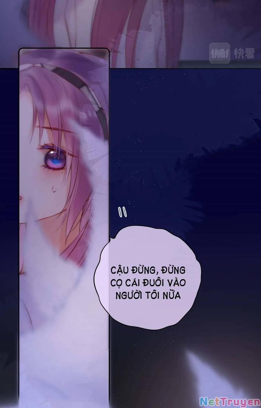 Cạm Bẫy Của Hồ Ly 47 trang 60