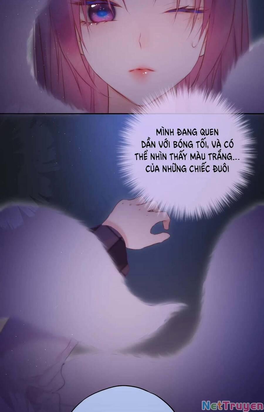 Cạm Bẫy Của Hồ Ly 47 trang 62