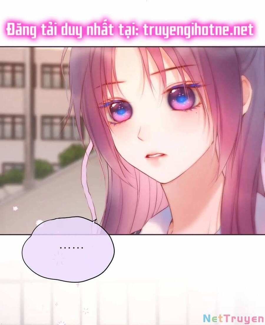 Cạm Bẫy Của Hồ Ly 47 trang 8