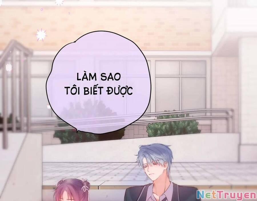 Cạm Bẫy Của Hồ Ly 47 trang 9