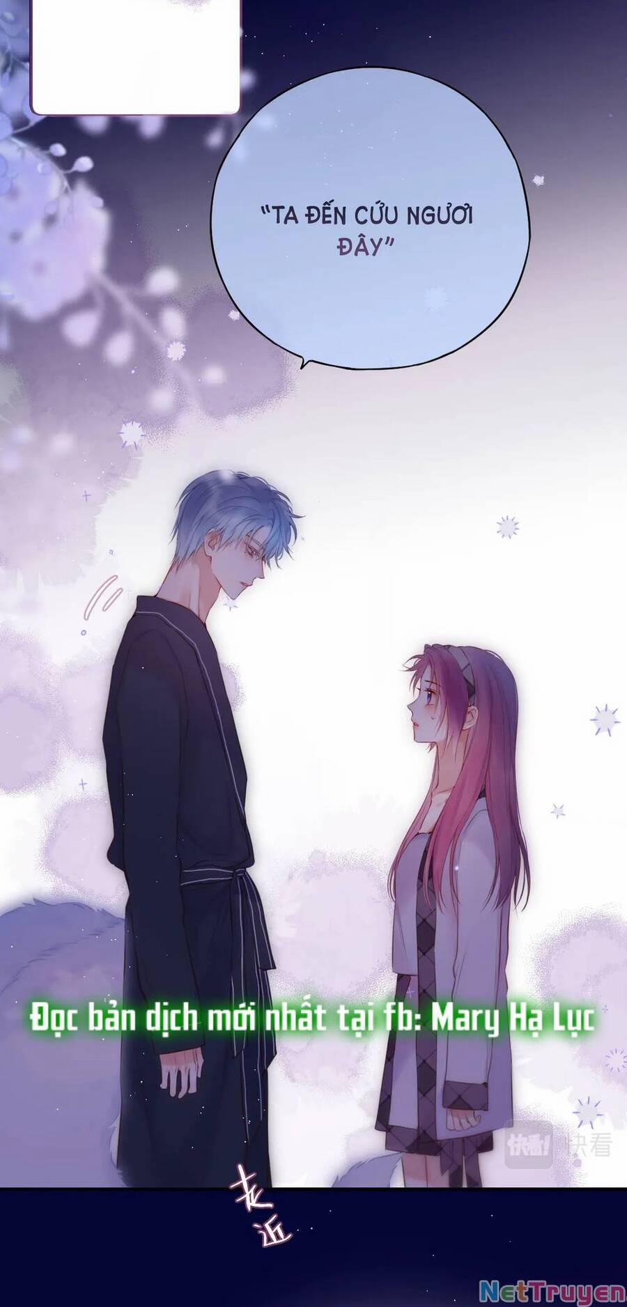 Cạm Bẫy Của Hồ Ly 48 trang 13