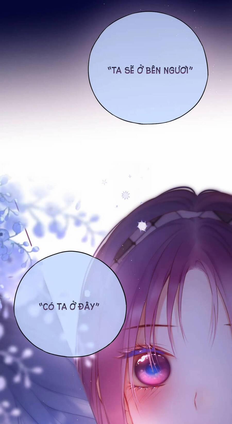 Cạm Bẫy Của Hồ Ly 48 trang 14