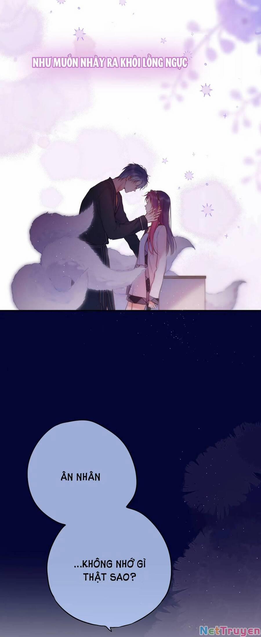 Cạm Bẫy Của Hồ Ly 48 trang 27